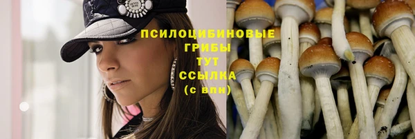 PSILOCYBIN Дмитриев